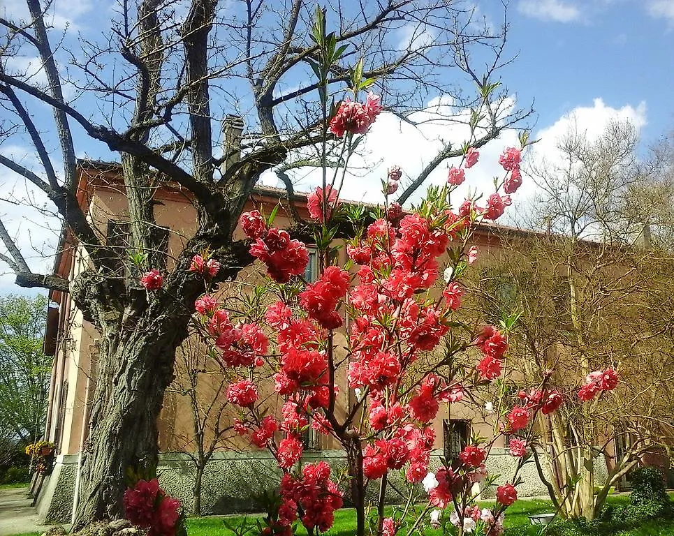 Bed and Breakfast Ca Morari Argenta 0*,  Italien